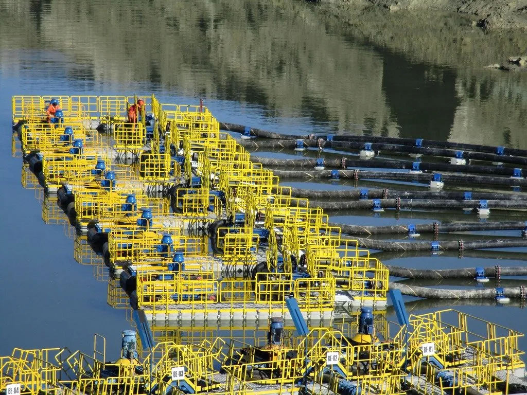 Minería
