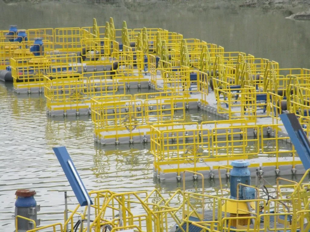 Minería
