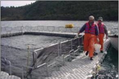 Ready Dock soluciones flotantes muelles balsas helipuertos